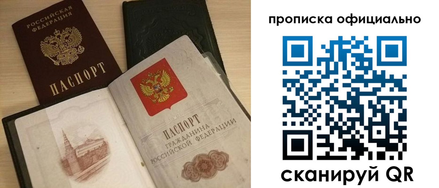 временная регистрация гарантия в Светлогорске